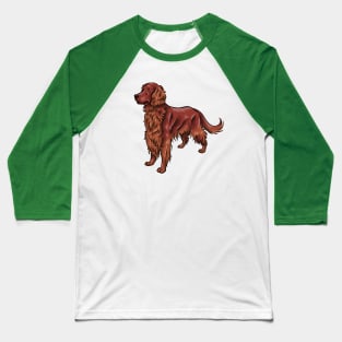 Irish Red Setter Dog Baseball T-Shirt